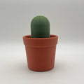 Potted Planter MTG Commander Deck Box | Cactus & Succulent Magic The Gathering Card Holder