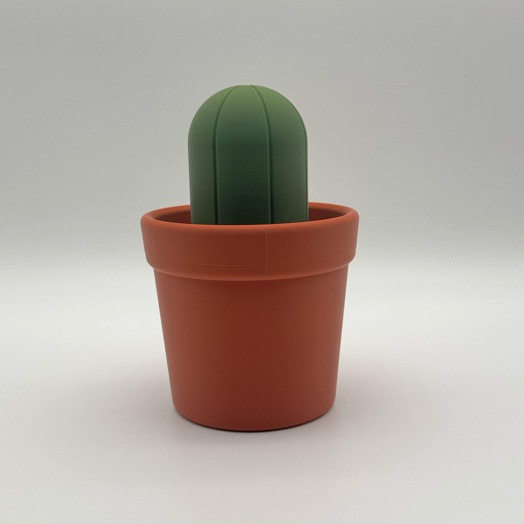 Potted Planter MTG Commander Deck Box | Cactus & Succulent Magic The Gathering Card Holder