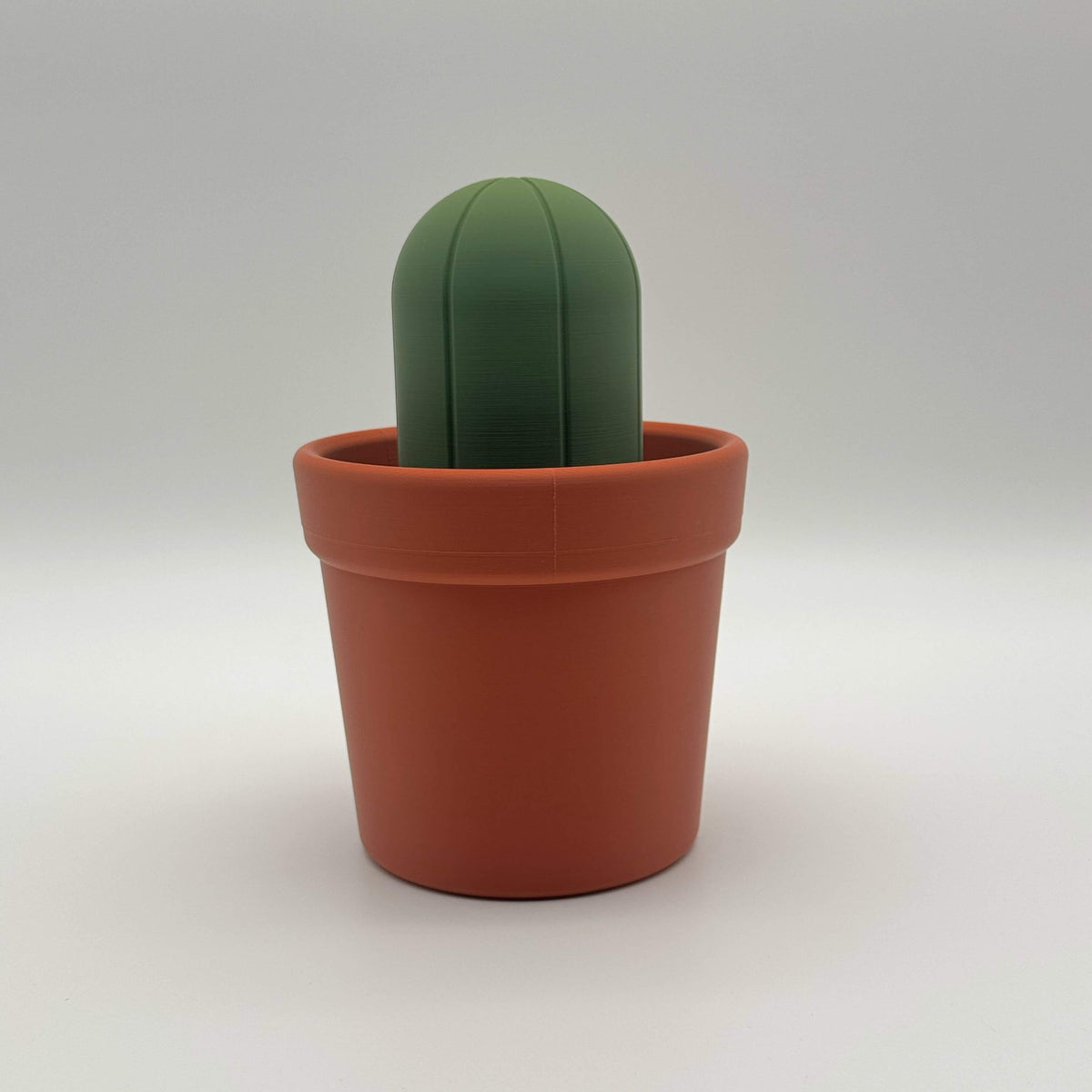 Potted Planter MTG Commander Deck Box | Cactus & Succulent Magic The Gathering Card Holder
