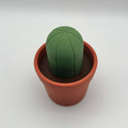 Potted Planter MTG Commander Deck Box | Cactus & Succulent Magic The Gathering Card Holder