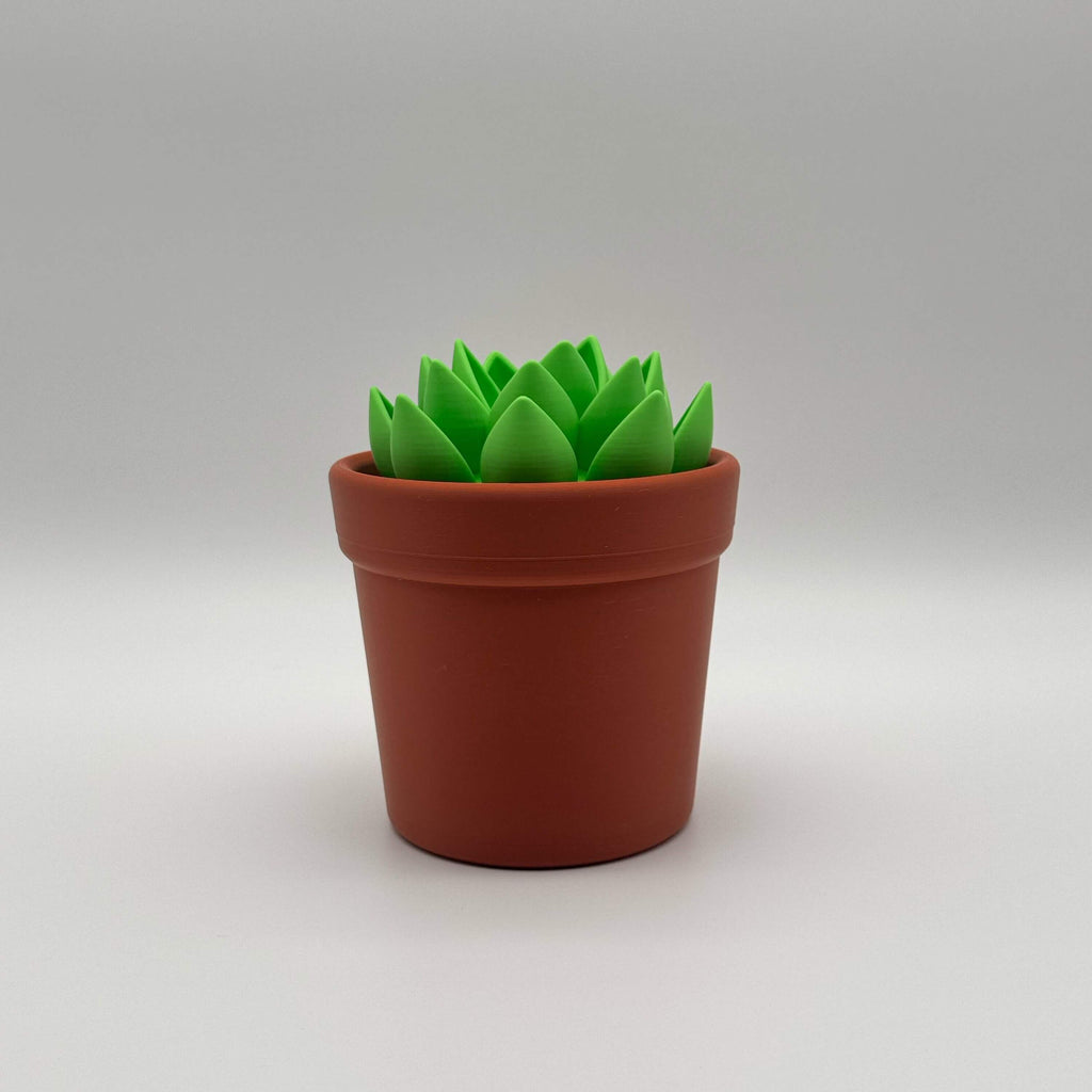 Potted Planter MTG Commander Deck Box | Cactus & Succulent Magic The Gathering Card Holder