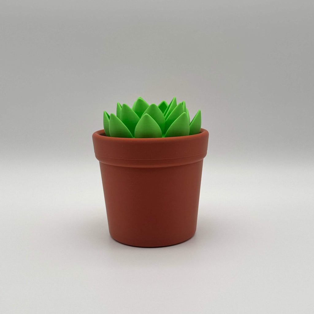 Potted Planter MTG Commander Deck Box | Cactus & Succulent Magic The Gathering Card Holder
