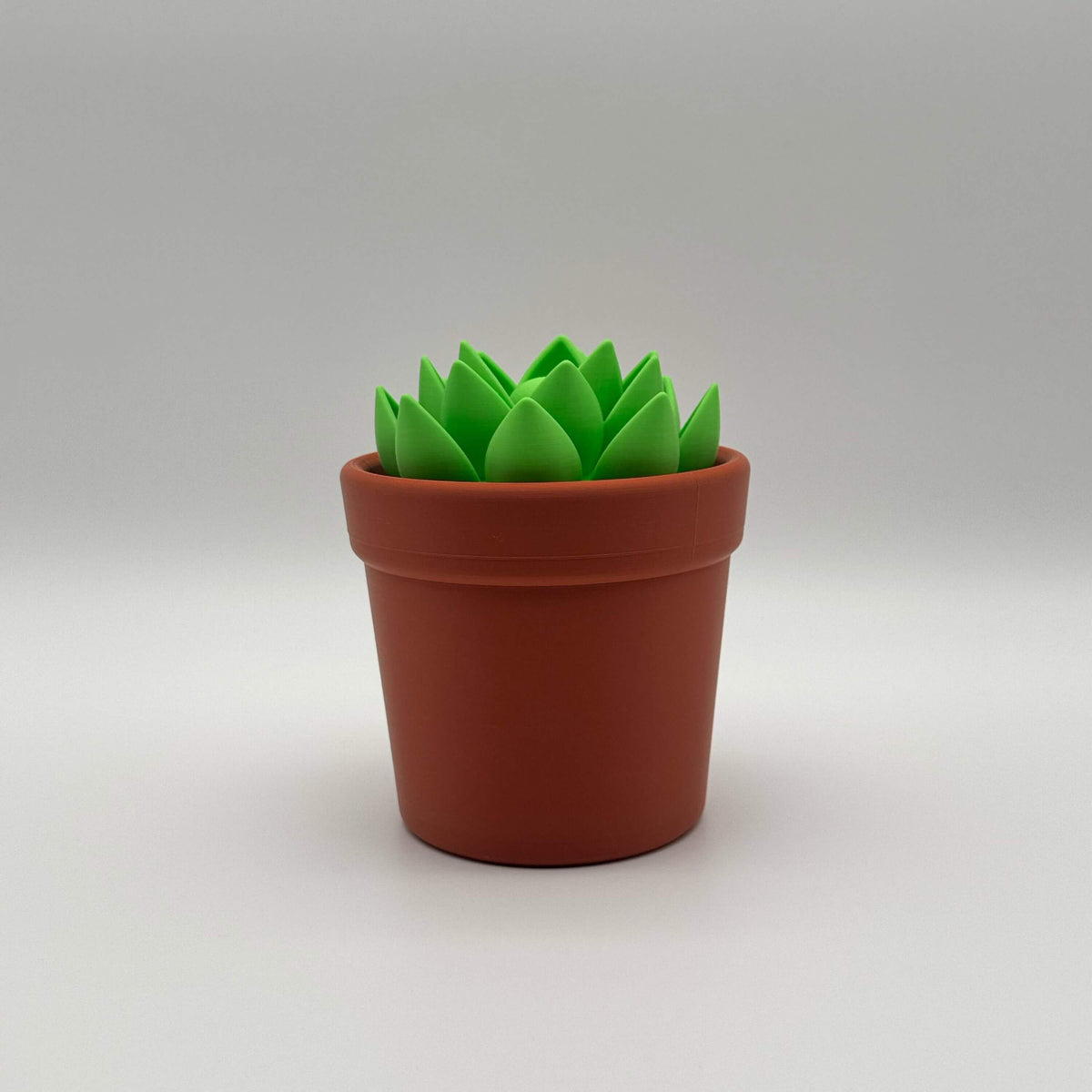 Potted Planter MTG Commander Deck Box | Cactus & Succulent Magic The Gathering Card Holder