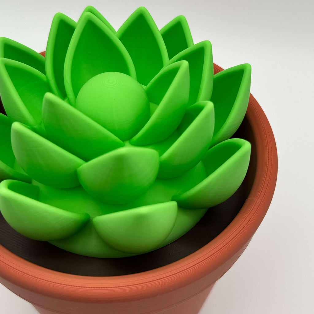Potted Planter MTG Commander Deck Box | Cactus & Succulent Magic The Gathering Card Holder