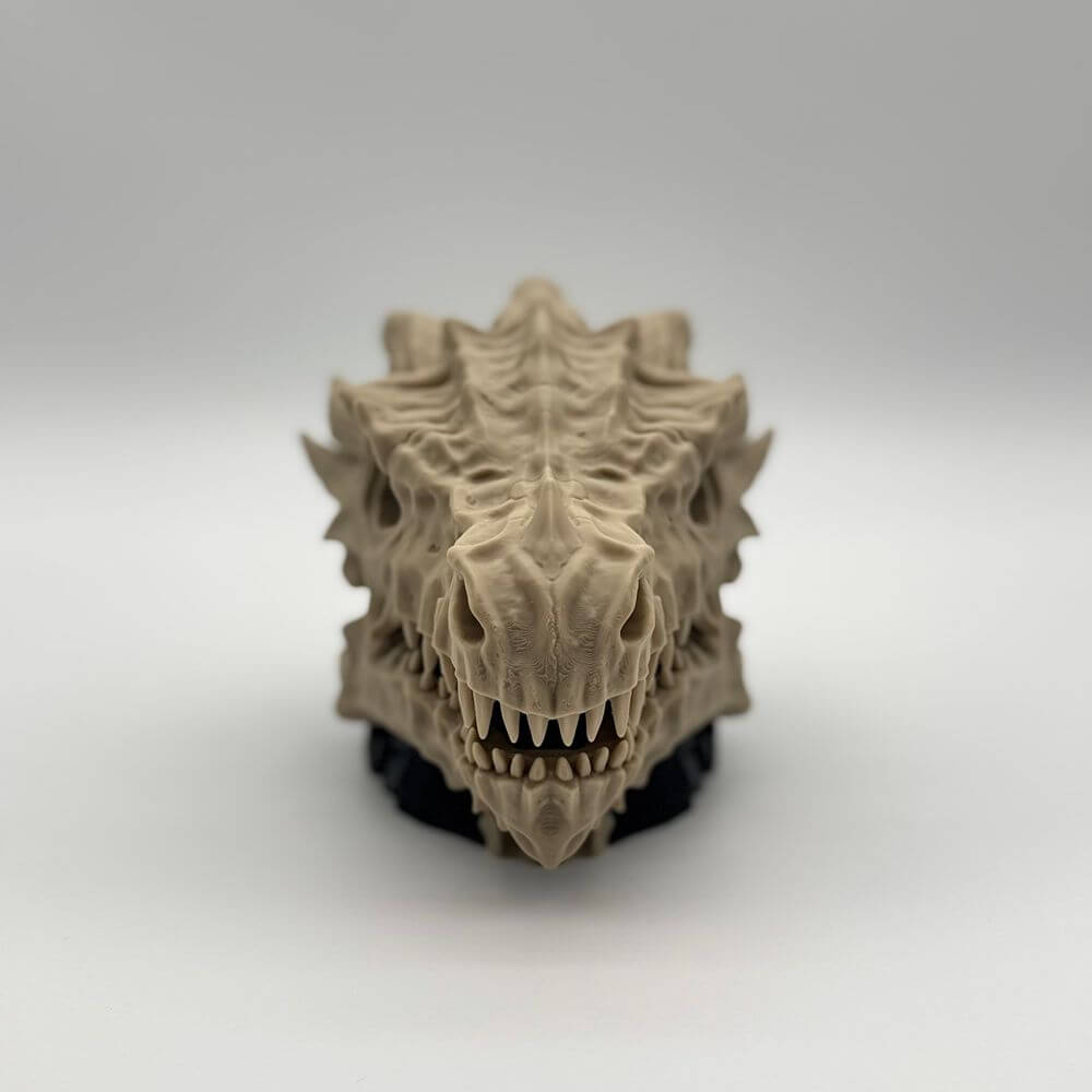 Dragon Skull MTG Commander Deck Box | Fantasy Magic The Gathering Card Holder