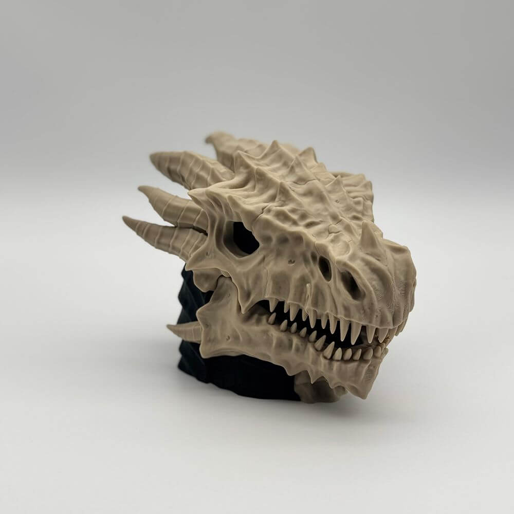 Dragon Skull MTG Commander Deck Box | Fantasy Magic The Gathering Card Holder