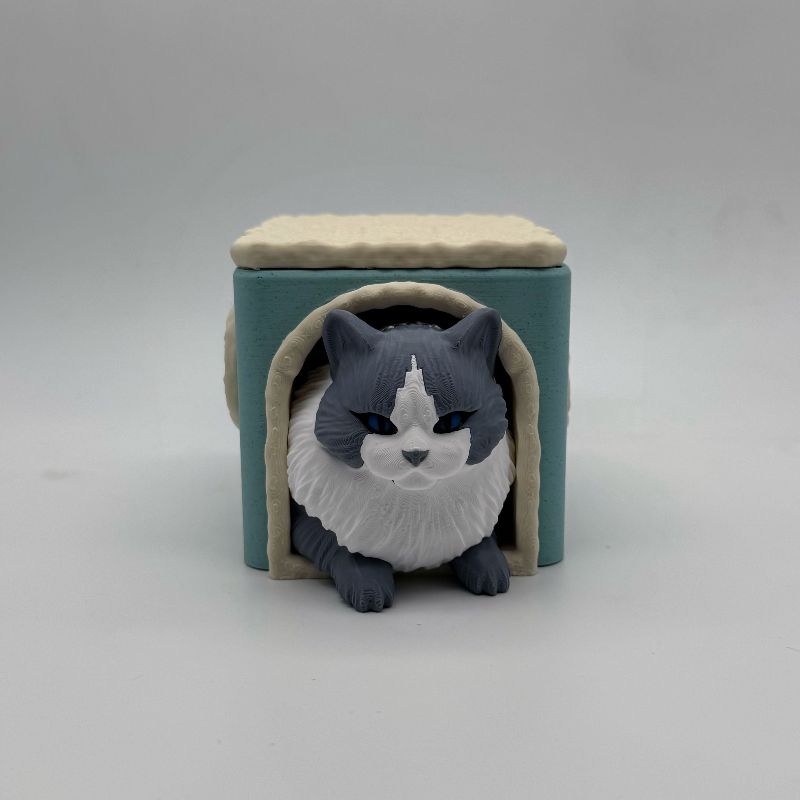 Cat Hideaway Commander Deck Box | MTG Magic The Gathering | EDH 100 Card