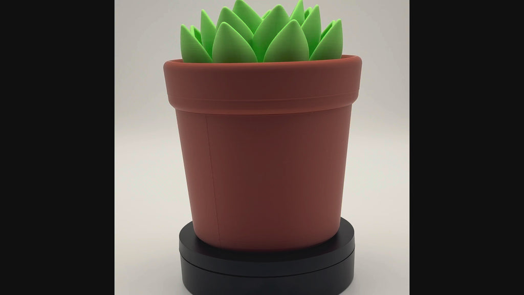 Potted Planter MTG Commander Deck Box | Cactus & Succulent Magic The Gathering Card Holder