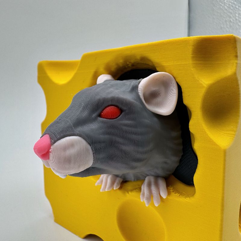 Rat’s Nest MTG Commander Deck Box | Cheese Vault Magic The Gathering Card Holder